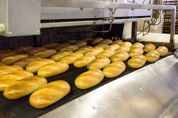 Advantages for Catering equipment and food processing technology